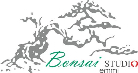 Logo - Bonsai Studio Emmi - Kleindöttingen